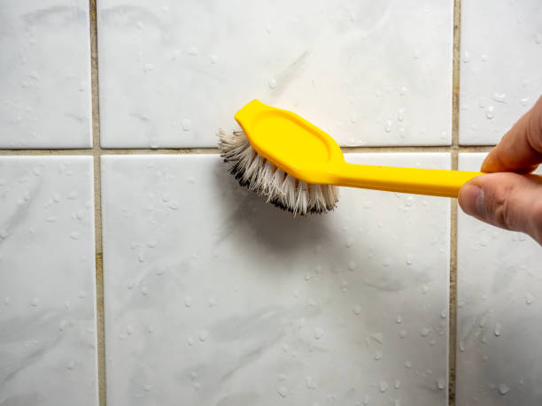 Best Office Mold Removal Services  in White Haven, PA