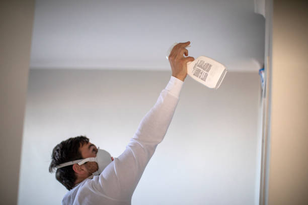Best Commercial Mold Removal  in White Haven, PA