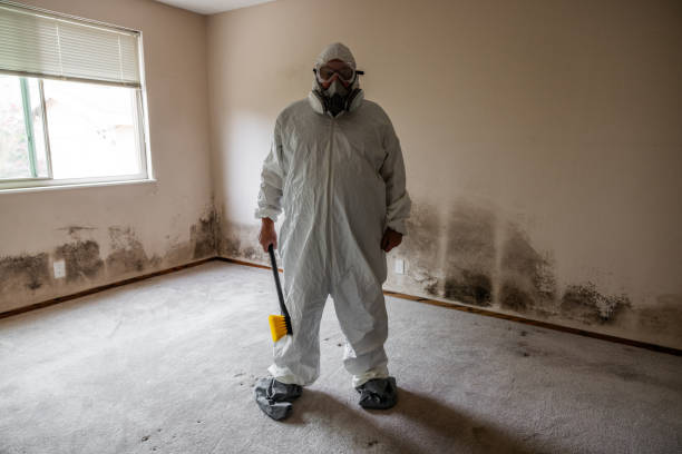 Best Local Mold Removal Service  in White Haven, PA